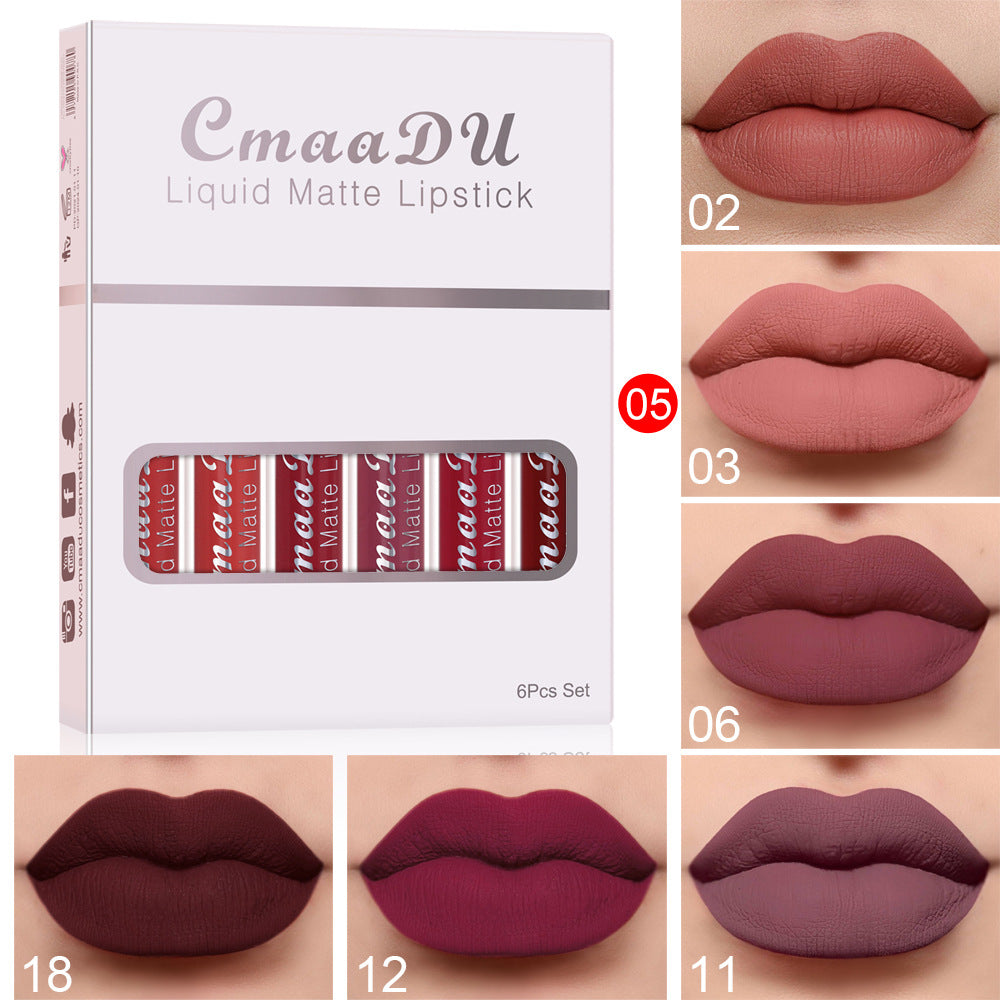 6pcs Matte Lip Gloss