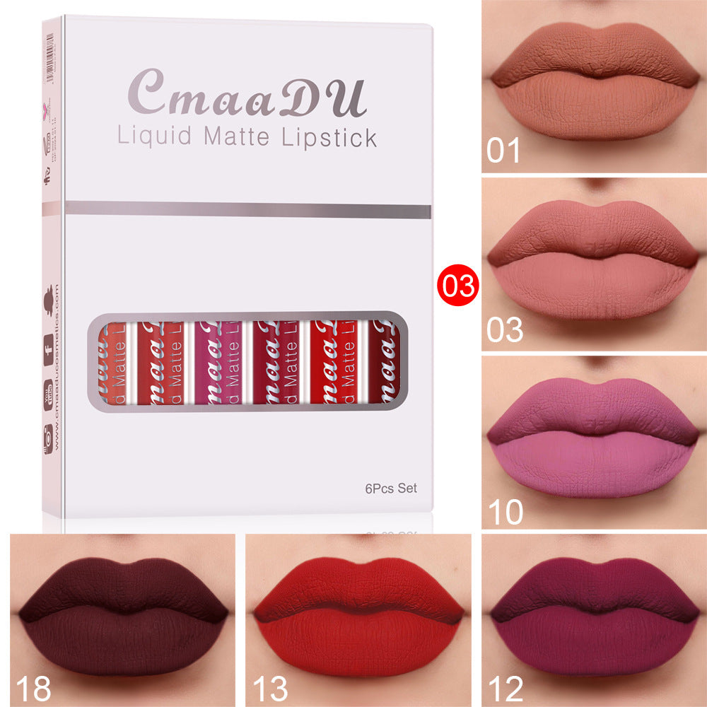 6pcs Matte Lip Gloss