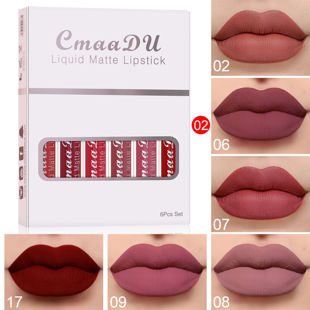 6pcs Matte Lip Gloss