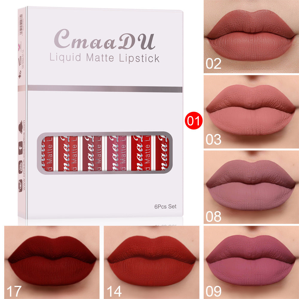 6pcs Matte Lip Gloss