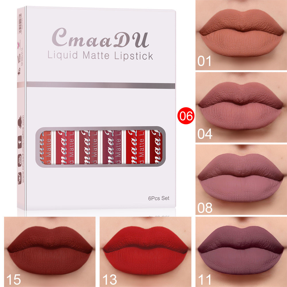 6pcs Matte Lip Gloss